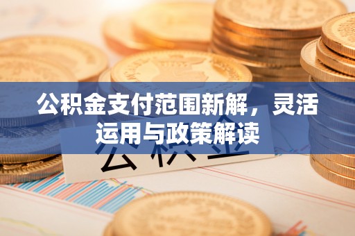 鹿泉公积金支付范围新解，灵活运用与政策解读