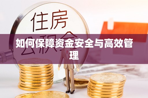 鹿泉如何保障资金安全与高效管理