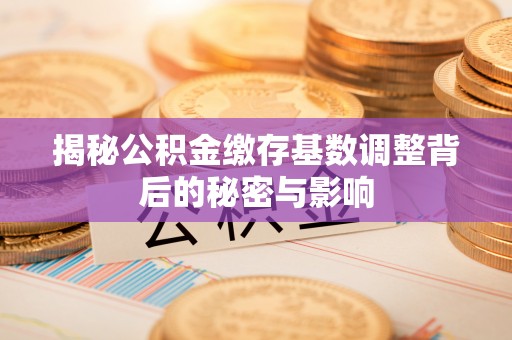 鹿泉揭秘公积金缴存基数调整背后的秘密与影响