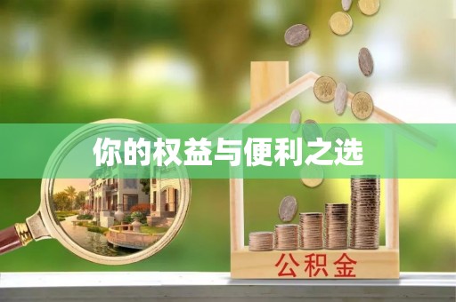 鹿泉你的权益与便利之选