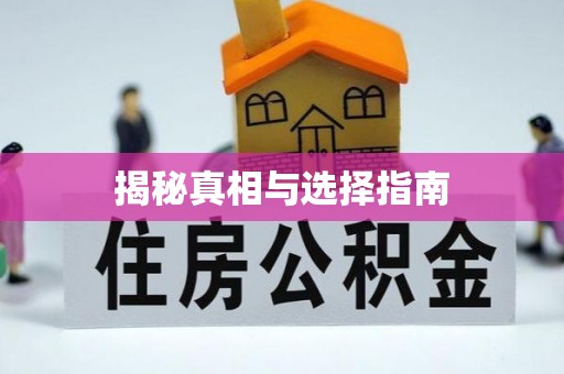 鹿泉揭秘真相与选择指南
