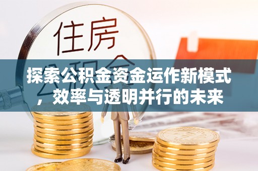 鹿泉探索公积金资金运作新模式，效率与透明并行的未来