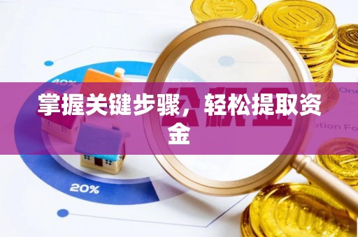 鹿泉掌握关键步骤，轻松提取资金