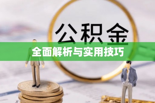 鹿泉全面解析与实用技巧
