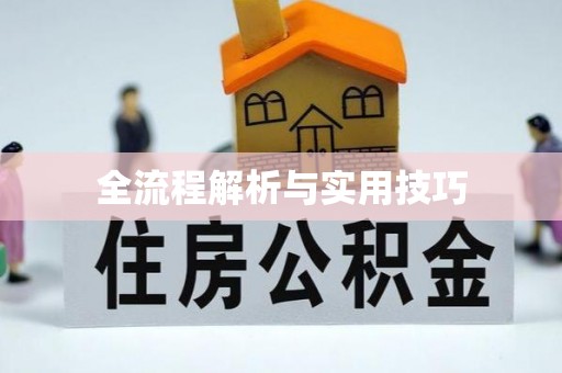 鹿泉全流程解析与实用技巧