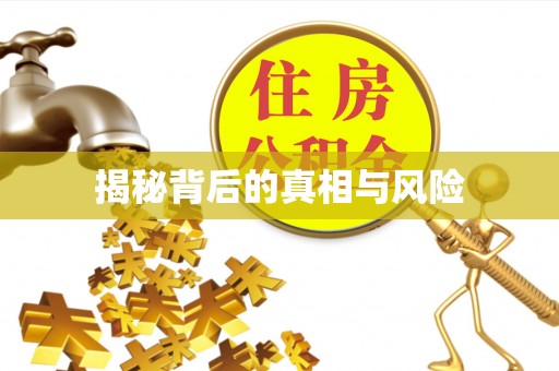 鹿泉揭秘背后的真相与风险