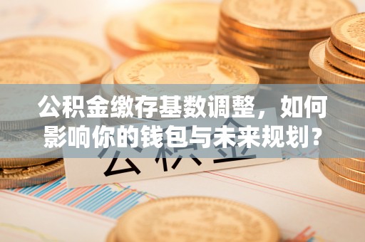 鹿泉公积金缴存基数调整，如何影响你的钱包与未来规划？