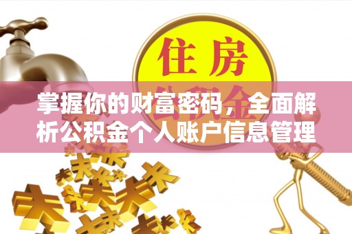 鹿泉掌握你的财富密码，全面解析公积金个人账户信息管理与优化