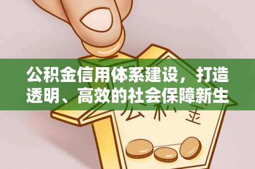 鹿泉公积金信用体系建设，打造透明、高效的社会保障新生态