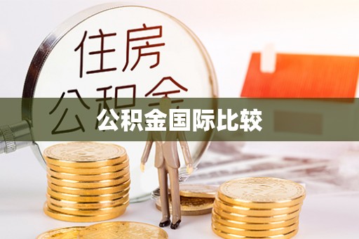 鹿泉公积金国际比较