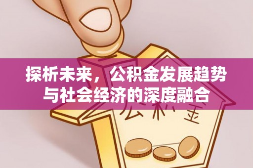 鹿泉探析未来，公积金发展趋势与社会经济的深度融合