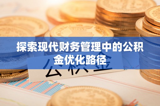 鹿泉探索现代财务管理中的公积金优化路径