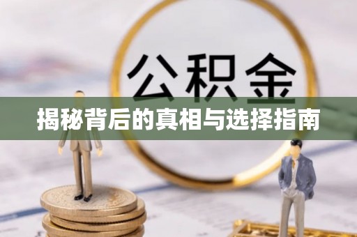 鹿泉揭秘背后的真相与选择指南