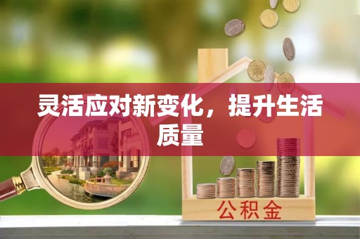 鹿泉灵活应对新变化，提升生活质量