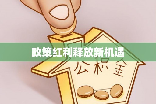 鹿泉政策红利释放新机遇