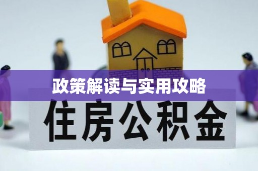 鹿泉政策解读与实用攻略