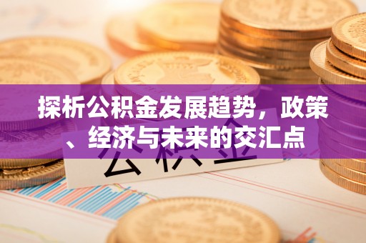 鹿泉探析公积金发展趋势，政策、经济与未来的交汇点