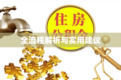 鹿泉全流程解析与实用建议