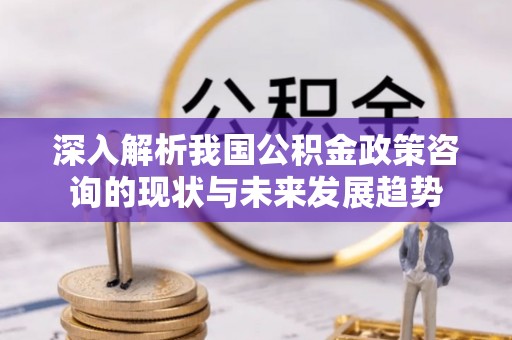 鹿泉深入解析我国公积金政策咨询的现状与未来发展趋势