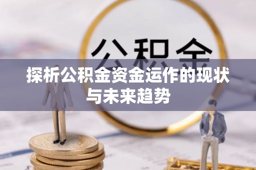 鹿泉探析公积金资金运作的现状与未来趋势