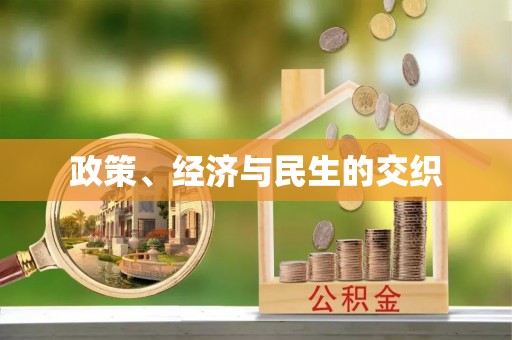 鹿泉政策、经济与民生的交织