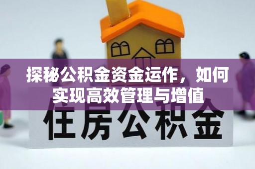 鹿泉探秘公积金资金运作，如何实现高效管理与增值