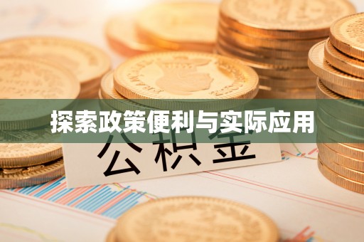 鹿泉探索政策便利与实际应用