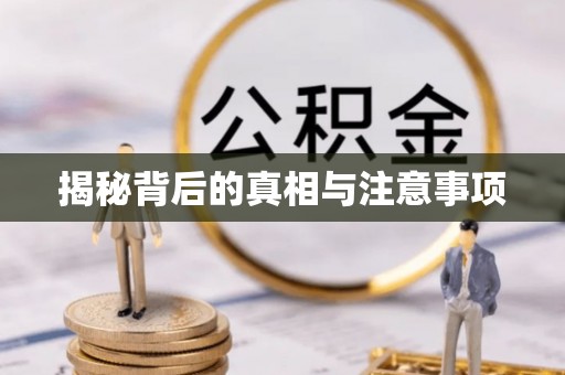 鹿泉揭秘背后的真相与注意事项