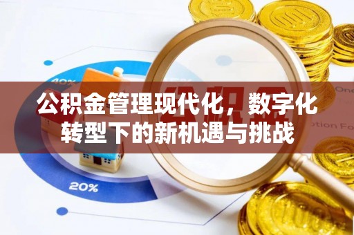 鹿泉公积金管理现代化，数字化转型下的新机遇与挑战