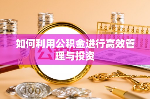 鹿泉如何利用公积金进行高效管理与投资