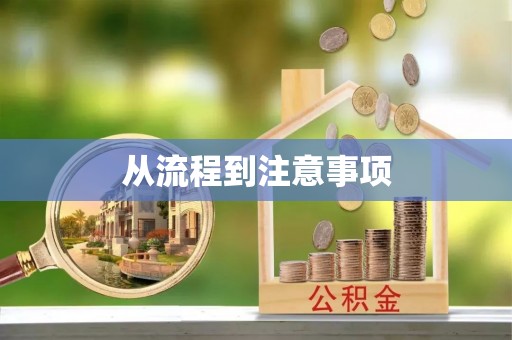 鹿泉从流程到注意事项